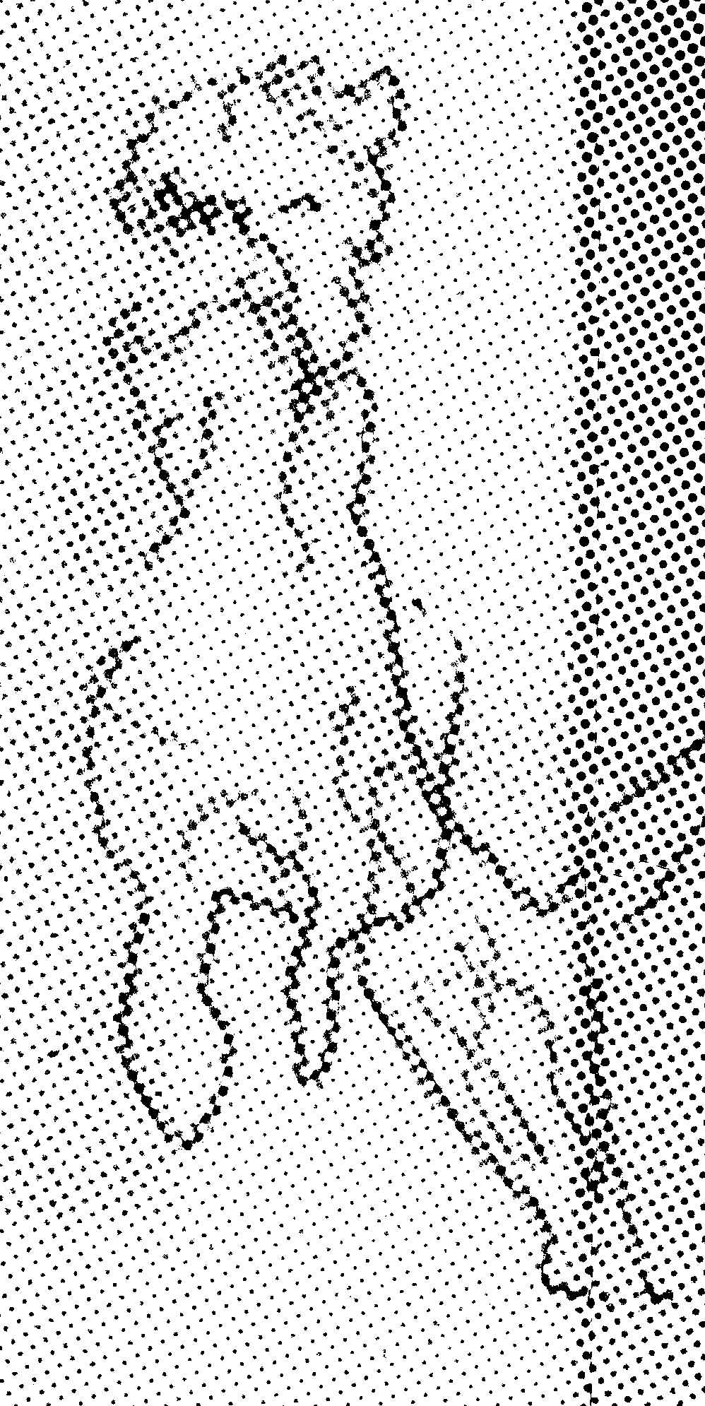dessin-chien